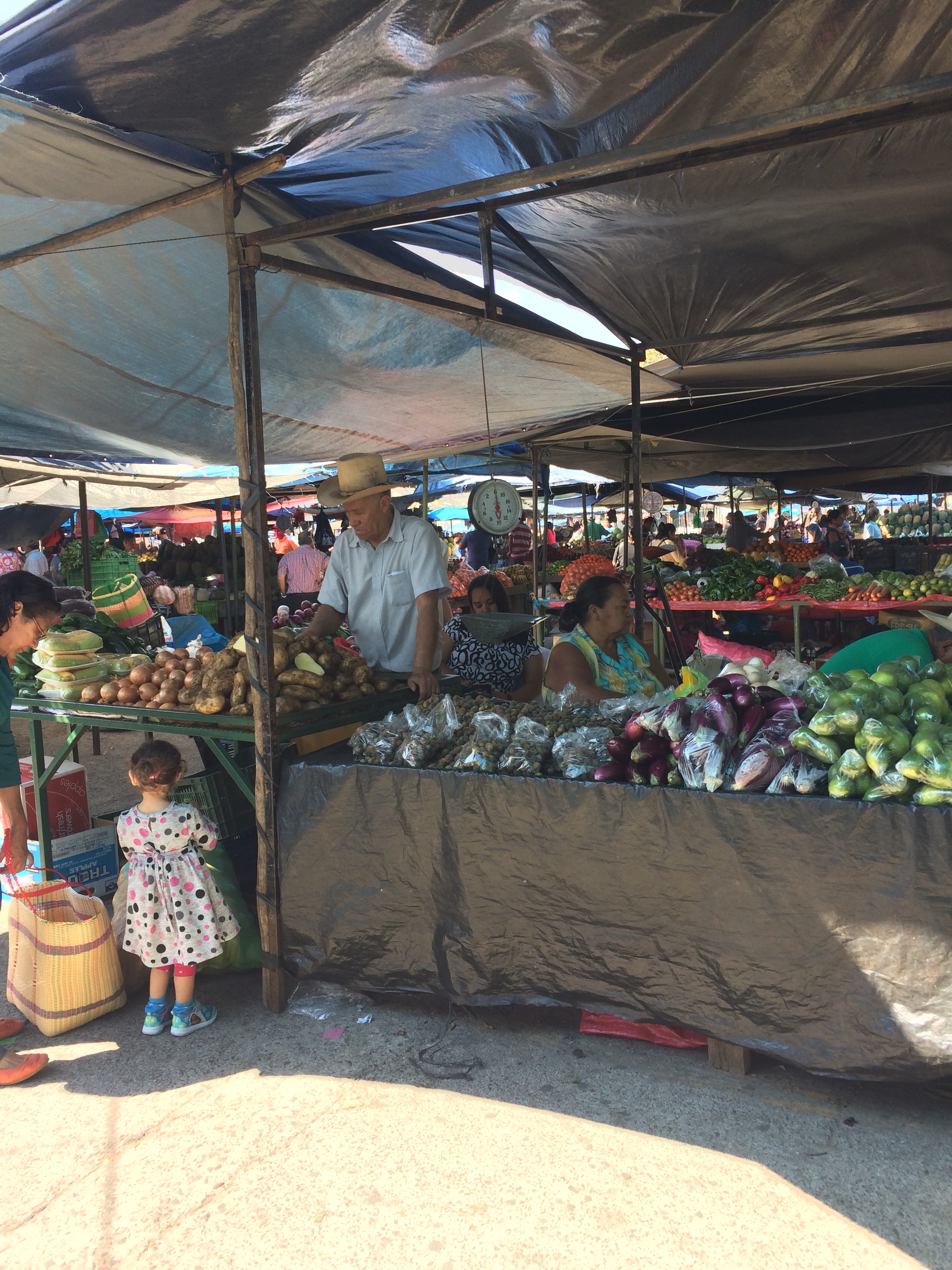 Mayoreo Market